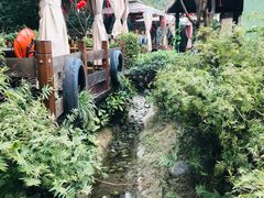 -二荆条·蜀鲜汇城市森林火锅