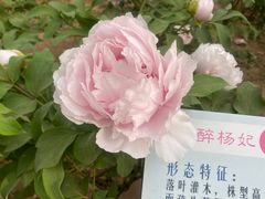 -仁和公园(顺义区)