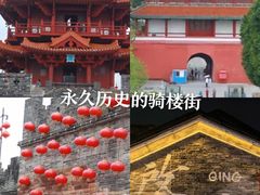 -鼎香皇高佬苏裹蒸粽
