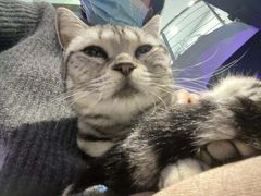 -极木²邸 人与宠物·互动社区
