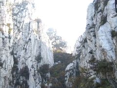 -嵩山少林文化旅游景区