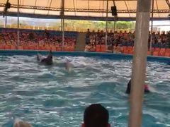 -尼莫海豚馆