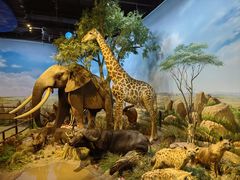 -陕西自然博物馆