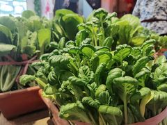 -旺角小渔村(幸福中路店)