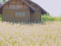 -良渚古城遗址公园
