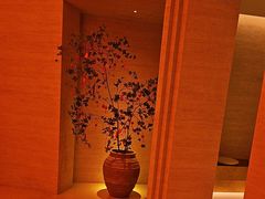 -舒小悦·舒养SPA·古法推拿(光环中心店)
