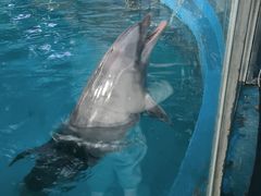 -苏州海洋馆