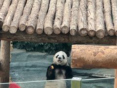 -大连森林动物园