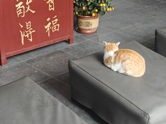 -高旻寺