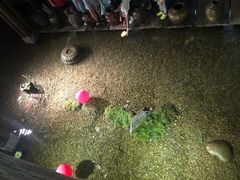 -几荷·恰似故人来(秀水广场店)