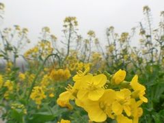 android_upload_pic-广州市石门国家森林公园