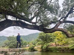 -上坦村