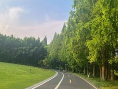 -采石矶景区