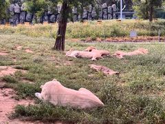 -秦皇岛野生动物园