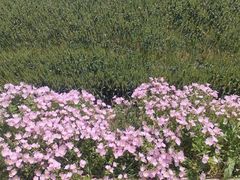 -汤山一号温泉度假区
