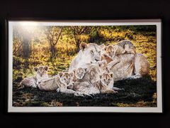 -罗红摄影艺术馆