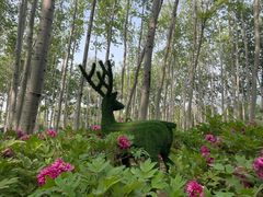 -仁和公园(顺义区)