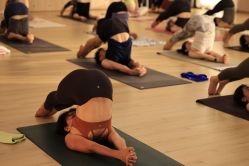 -酉嘉瑜伽YO+YOGA