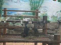 -西霞口神雕山野生动物世界