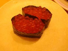 -元气寿司(新城市广场店)