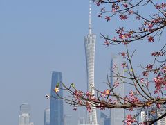 -海珠湖公园