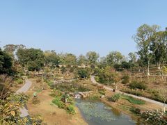 -东莞植物园