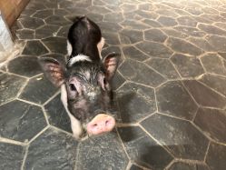 -Zoolung Zoolung动物主题公园(海信广场店)