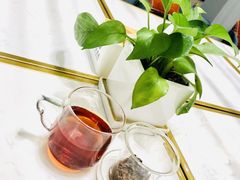 红茶-传齐书苑(齐盛店)