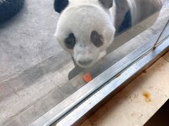 -石家庄市动物园