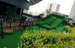 点击看大图 -可可天空农场(中大店)