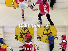 -勇气斑马·巴西柔术&跆拳道(浦东三林店)