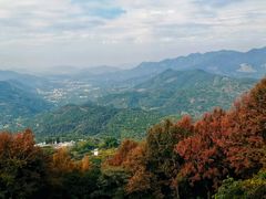 -广州市石门国家森林公园