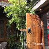 北京胡同庭院咖啡｜南锣鼓巷世外桃源🍑～静水☕️