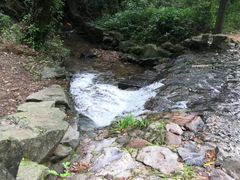 -龙井壹号·茶缘山景宴(龙井村店)