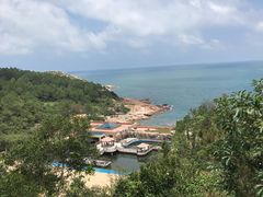 -广东惠东海龟国家级自然保护区