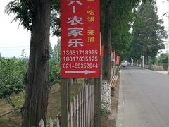 -小六农家乐(崇明西沙湿地店)