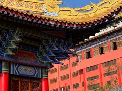 -东莞市大岭山森林公园