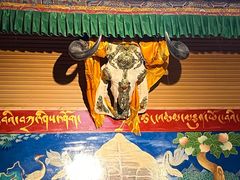 -吉祥圣雪藏餐
