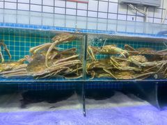-震海贝烤贝·民俗特色店(延吉总店)
