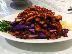 -金蝉食府(维吉奥广场店)