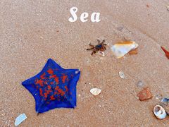 -那香海钻石沙滩浴场