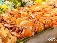 -青岛富力艾美酒店