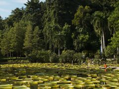 -中国科学院西双版纳热带植物园