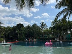 -三亚湾海居铂尔曼度假酒店