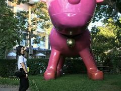 -莓园冰淇淋店