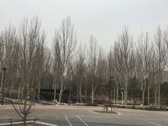 -回龙观体育文化公园