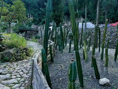 -MOJ coffee(瓯海泽雅水碓坑店)