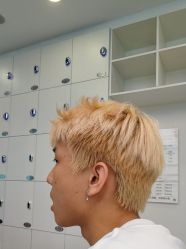-YESIDO椰岛造型