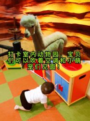 -酷嗒动物文化乐园(cutezoo西溪乐天城店)