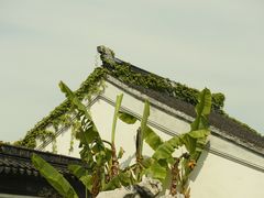 -雨花胜境